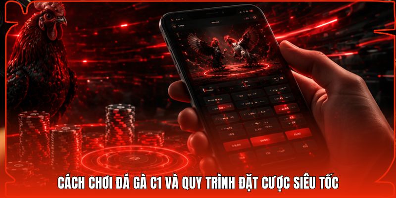 Cách chơi đá gà C1 và quy trình đặt cược siêu tốc