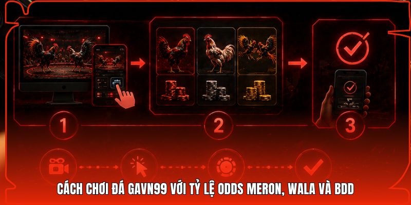 Cách chơi đá Gavn99 với tỷ lệ Odds Meron, Wala và BDD