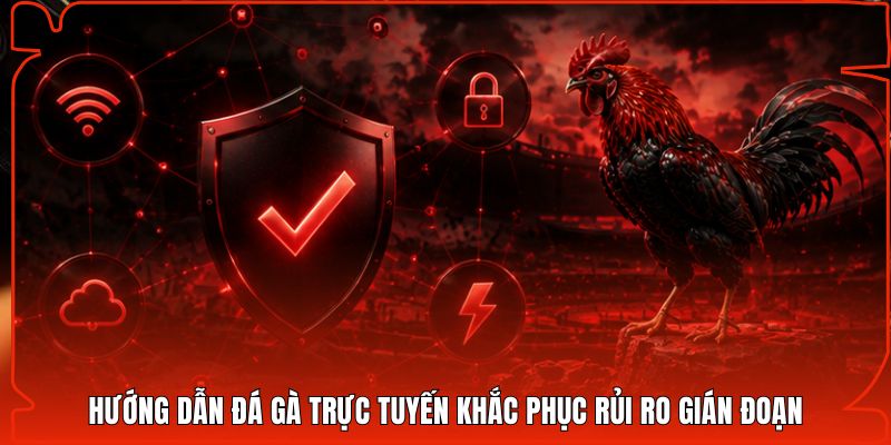 Hướng dẫn đá gà trực tuyến khắc phục rủi ro gián đoạn