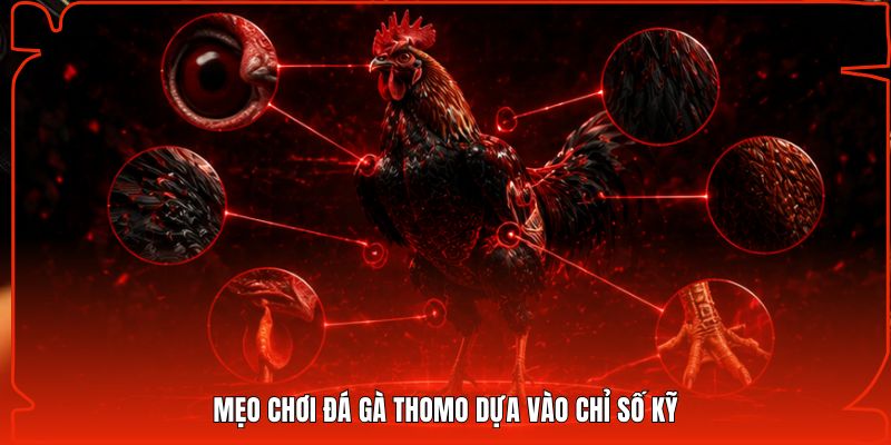 Mẹo chơi đá gà Thomo dựa vào chỉ số kỹ
