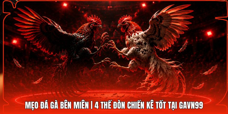 Mẹo Đá Gà Bên Miên | 4 Thế Đòn Chiến Kê Tốt Tại Gavn99