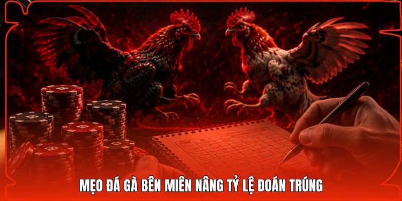 Mẹo đá gà bên Miên nâng tỷ lệ đoán trúng