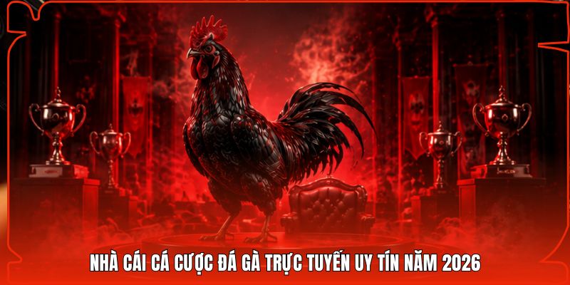 Nhà cái cá cược đá gà trực tuyến uy tín năm 2026