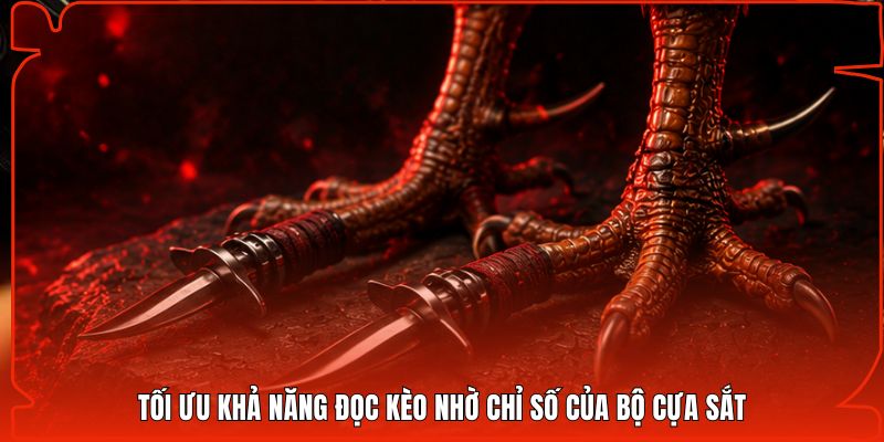Tối ưu khả năng đọc kèo nhờ chỉ số của bộ cựa sắt