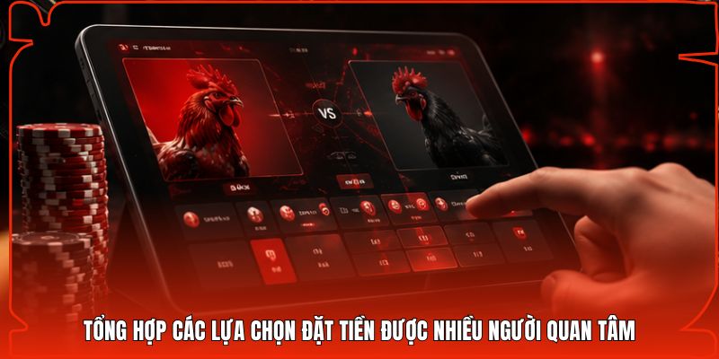 Tổng hợp các lựa chọn đặt tiền được nhiều người quan tâm